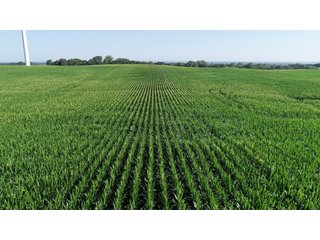 Bureau County, Illinois farmland - LAND AND WIND RIGHTS AUCTION - 337+/- ACRES IN 4 TRACTS IN BUREAU COUNTY, ILLINOIS